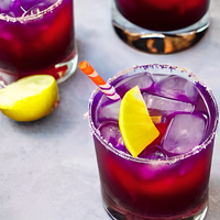 Purple Cactus 