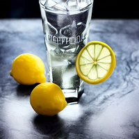 Vodka and Schweppes 