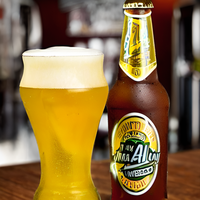 Turbo Shandy 