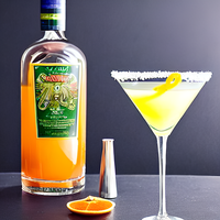 Citrus Martini 