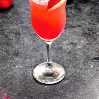 Flamingo Rita 