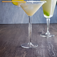 Frozen Martini 
