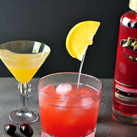 Oscar Cocktail 