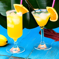 A Tropical Dream 